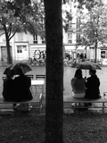 https://photos.voltaireleon.fr/.thumbnails/volt/2026/61.jpg